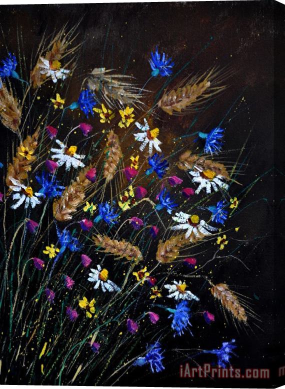 Pol Ledent Wild Flowers 452150 Stretched Canvas Print / Canvas Art