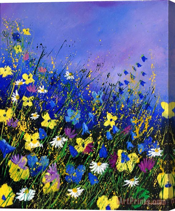 Pol Ledent Wild flowers 560908 Stretched Canvas Painting / Canvas Art