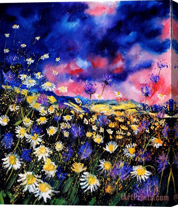 Pol Ledent Wildflowers 67 Stretched Canvas Print / Canvas Art
