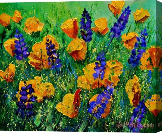 Pol Ledent Yellow Poppies 560190 Stretched Canvas Painting / Canvas Art