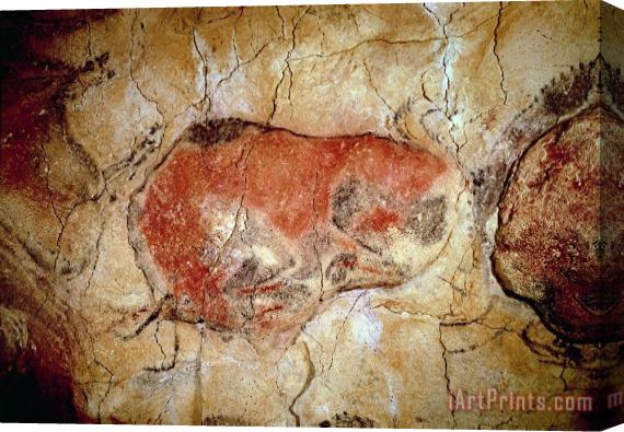 Prehistoric Bison from the Altamira Caves Stretched Canvas Print / Canvas Art