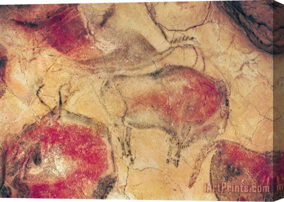 Prehistoric Bisons from the Caves at Altamira Stretched Canvas Print / Canvas Art