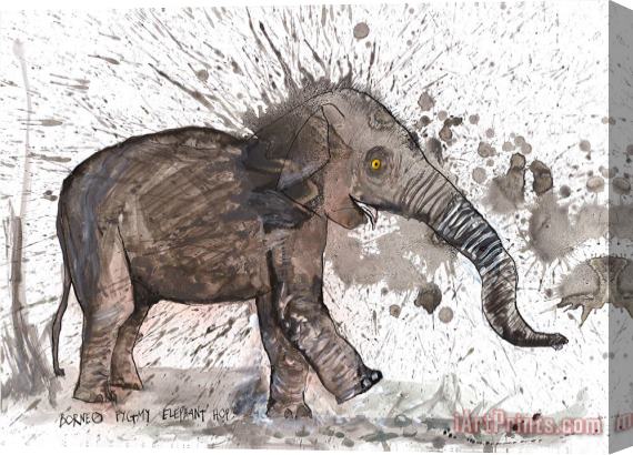 Ralph Steadman Borneo Pygmy Elephant, 2017 Stretched Canvas Print / Canvas Art