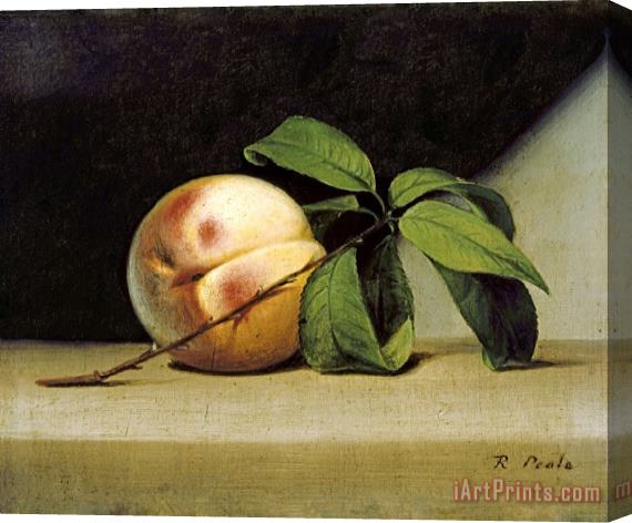 Raphaelle Peale Still Life with Peach Stretched Canvas Print / Canvas Art