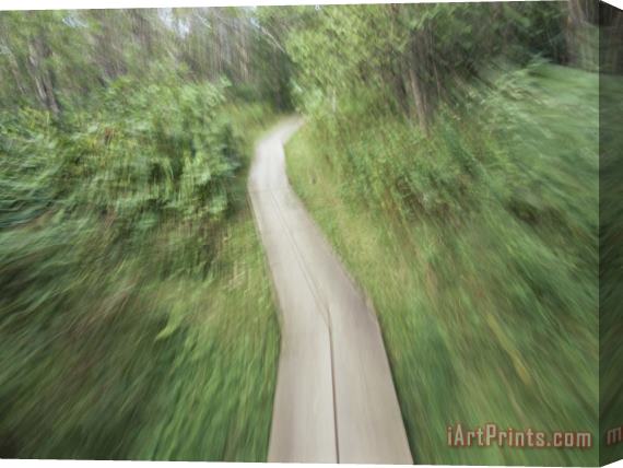 Raymond Gehman A Bike Path in The Apostle Islands Stretched Canvas Print / Canvas Art