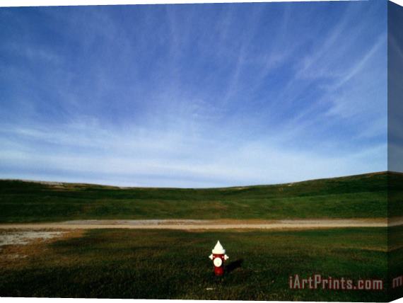 Raymond Gehman A Fire Hydrant in a Green Field Under a Wide Blue Sky Stretched Canvas Print / Canvas Art
