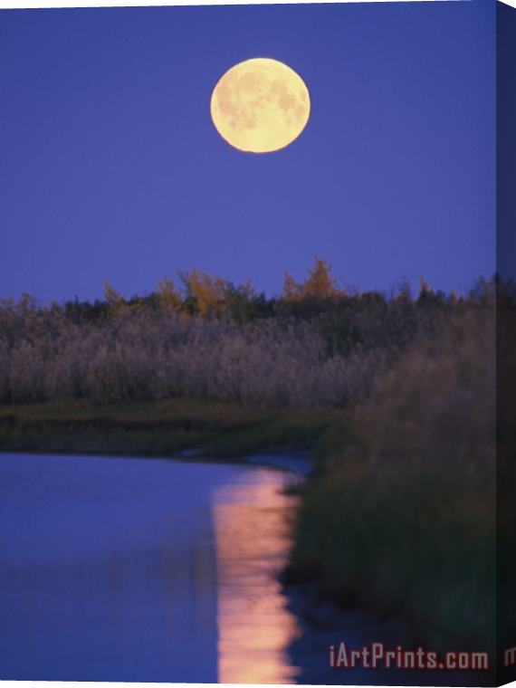 Raymond Gehman A Full Moon Is Reflected in The Mackenzie River Stretched Canvas Painting / Canvas Art