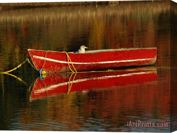 Raymond Gehman A Gull Rests on an Old Rowboat Stretched Canvas Painting / Canvas Art