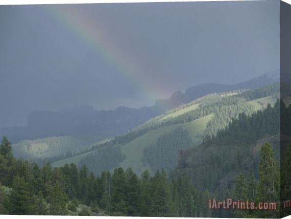 Raymond Gehman A Rainbow Bridges Lamar Valley Near Specimen Ridge After a Rain Storm Stretched Canvas Print / Canvas Art