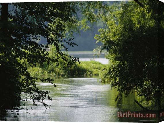 Raymond Gehman A Riparian Forest Borders The Susquehanna River Stretched Canvas Print / Canvas Art
