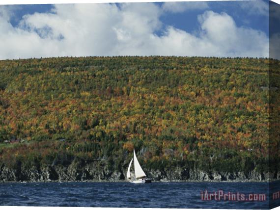 Raymond Gehman A Sailboat Passes a Low Headland Cloaked in Autumn Colors Stretched Canvas Print / Canvas Art