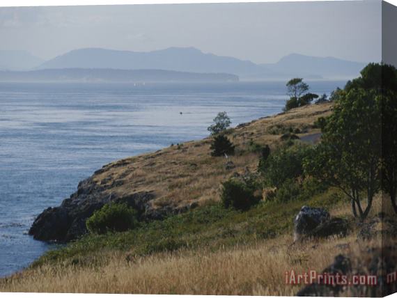 Raymond Gehman A View Out to Sea From One of The San Juan Islands Stretched Canvas Painting / Canvas Art