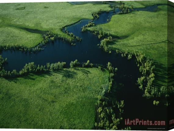 Raymond Gehman Aerial View of North Stone Lake in The Wetland Area Stretched Canvas Print / Canvas Art