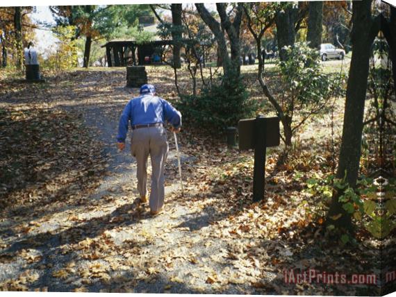 Raymond Gehman An Old Man Walking a Path at The Pinnacles Picnic Area Stretched Canvas Painting / Canvas Art