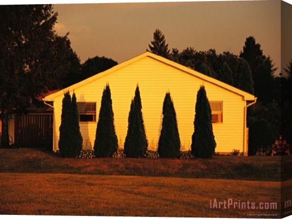 Raymond Gehman Arborvitae Trees Cast Shadows on The Side of a House Stretched Canvas Painting / Canvas Art