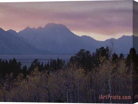 Raymond Gehman Aspens Grand Teton National Park Wyoming Stretched Canvas Painting / Canvas Art