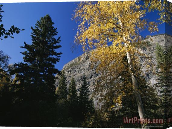 Raymond Gehman Autumn Foliage Surrounds The Limestone Face of The Nahanni Mountain Range Stretched Canvas Painting / Canvas Art