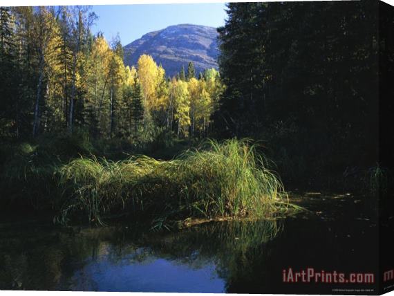 Raymond Gehman Autumnal View Near Cli Lake Stretched Canvas Print / Canvas Art