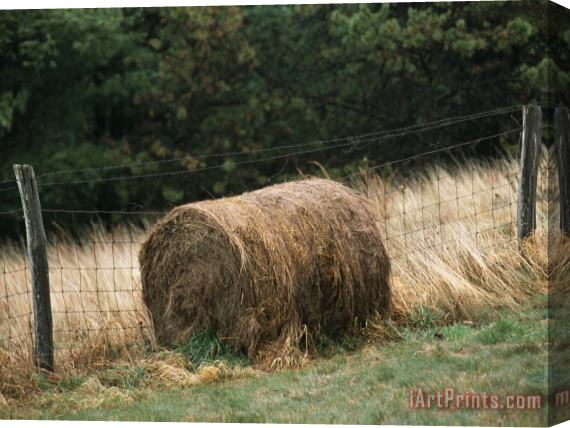 Raymond Gehman Barbed Wire Fence And Hay Roll in Farmers Field Tye River Gap Stretched Canvas Painting / Canvas Art
