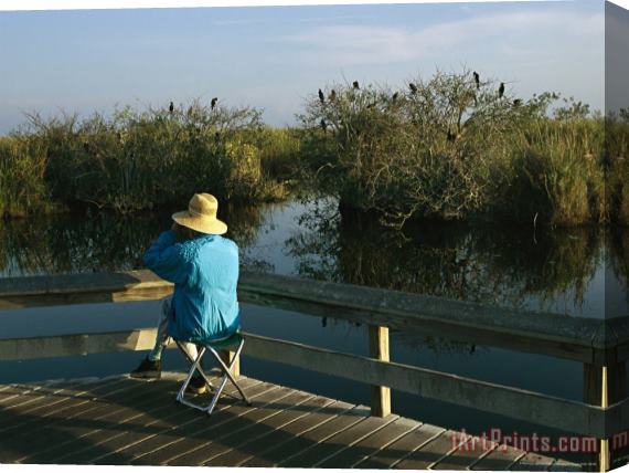 Raymond Gehman Bird Watching From a Wooden Walkway on The Anhinga Trail Stretched Canvas Print / Canvas Art