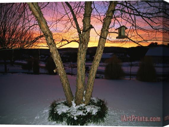 Raymond Gehman Brilliant Dawn Rises on a Tree And Birdhouse on a Snow Covered Yard Stretched Canvas Painting / Canvas Art
