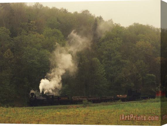 Raymond Gehman Cass Scenic Railroad Running Along The Edge of a Forest Stretched Canvas Painting / Canvas Art