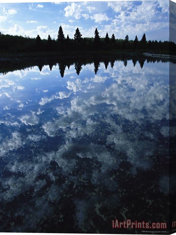 Raymond Gehman Clouds And Trees Reflected on The Surface of Astotin Lake Stretched Canvas Print / Canvas Art