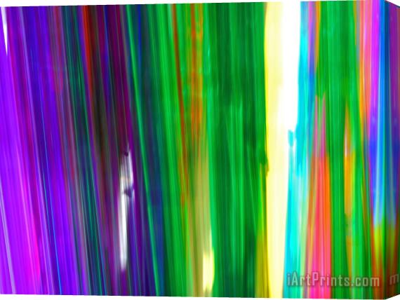 Raymond Gehman Colorful Plastic Tubes in San Francisco Plastics Shop Stretched Canvas Print / Canvas Art