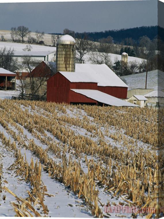 Raymond Gehman Corn Stubble And Barn in a Wintery Pennsylvania Landscape Stretched Canvas Print / Canvas Art