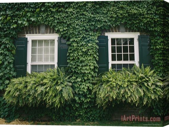 Raymond Gehman Detail of The Ivy Covered James Fenimore Cooper House Stretched Canvas Print / Canvas Art