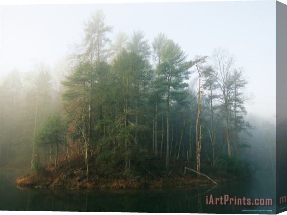 Raymond Gehman Early Morning Fog in The Trees Around Otter Lake Stretched Canvas Painting / Canvas Art