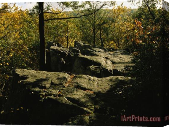 Raymond Gehman Fall Foliage And Boulders on The Appalachian Trail Stretched Canvas Painting / Canvas Art
