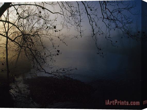 Raymond Gehman Fog And Silhouetted Trees at Sunrise on The Little Tennessee River Stretched Canvas Print / Canvas Art