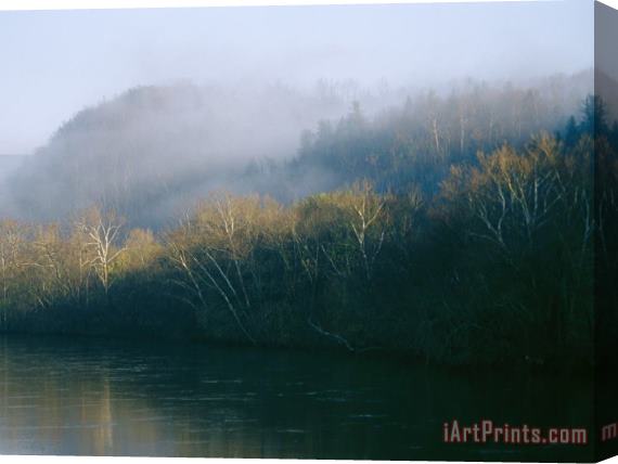 Raymond Gehman Fog Covers The Sycamore Trees That Grow Along The James River Stretched Canvas Print / Canvas Art