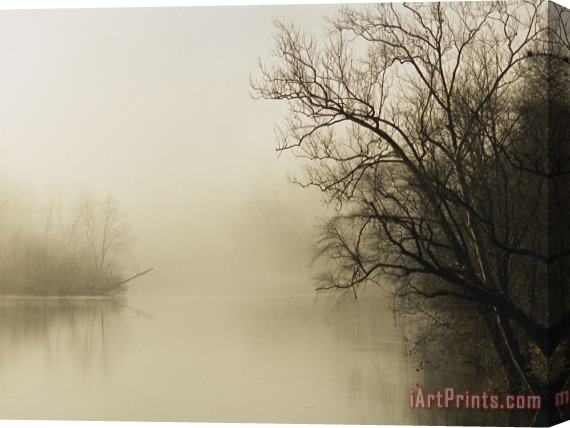 Raymond Gehman Fog Hovers Above The James River Stretched Canvas Print / Canvas Art