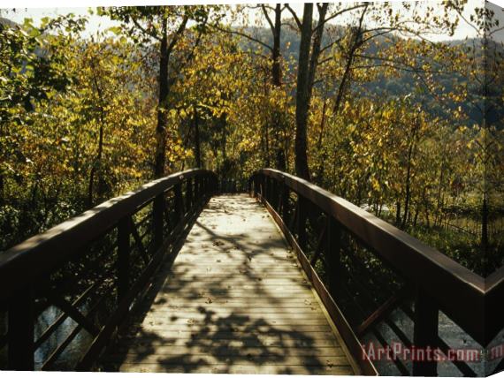 Raymond Gehman Footbridge Over Waterway in Autumn Hued Woods in a Mountain Valley Stretched Canvas Print / Canvas Art