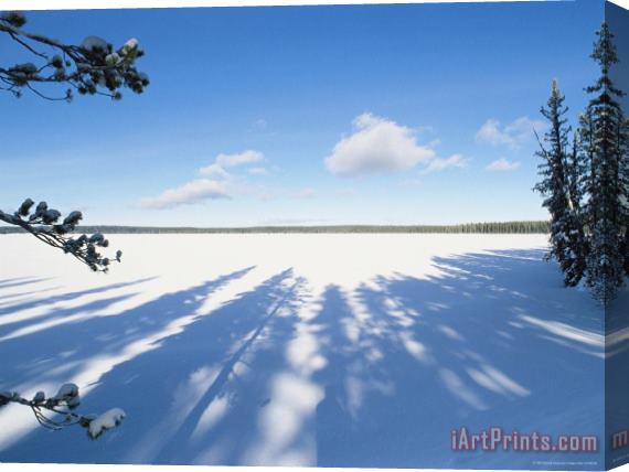 Raymond Gehman Frozen And Snow Covered Shoshone Lake Yellowstone National Park Stretched Canvas Painting / Canvas Art