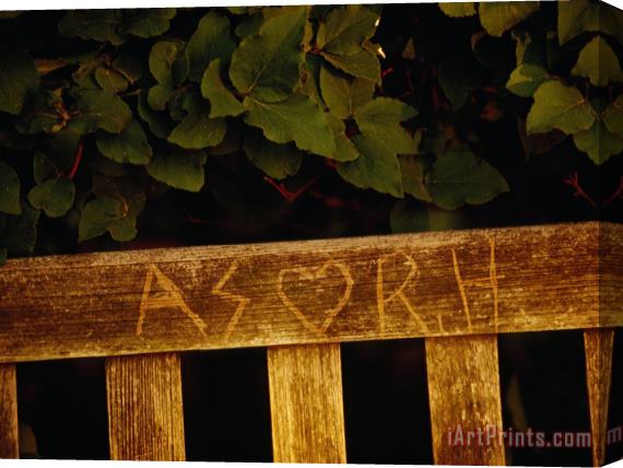 Raymond Gehman Graffiti Carved Into a Bench at The Quiet Garden Stretched Canvas Print / Canvas Art