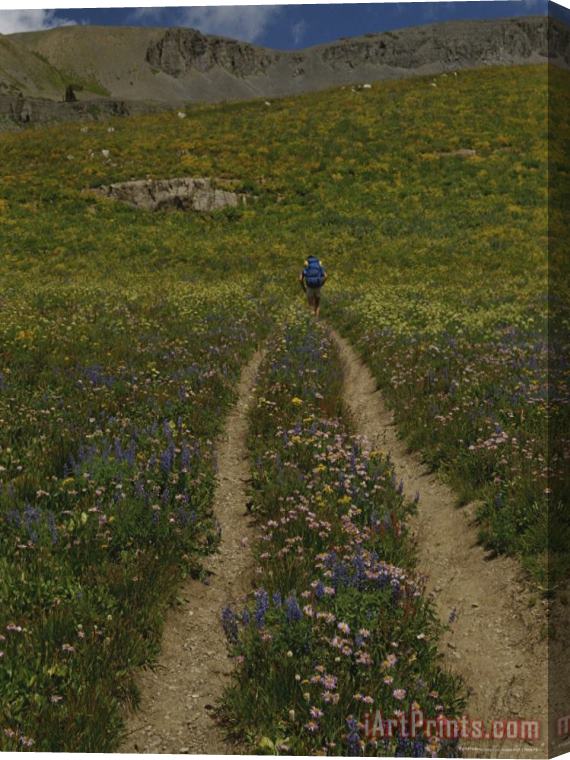 Raymond Gehman Hiker on an Alpine Trail Teton Crest Trail Wyoming Stretched Canvas Painting / Canvas Art