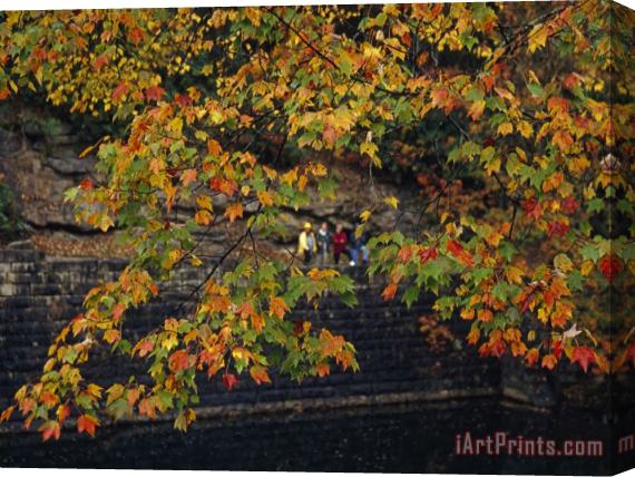 Raymond Gehman Hikers Seen Through The Branches of a Maple Tree in Autumn Hues Stretched Canvas Painting / Canvas Art