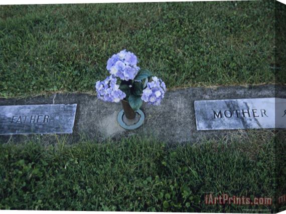 Raymond Gehman Hydrangea Flowers Are Placed in a Graveside Vase Stretched Canvas Print / Canvas Art