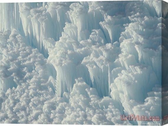 Raymond Gehman Ice Detail Yellowstone National Park Wyoming Stretched Canvas Print / Canvas Art