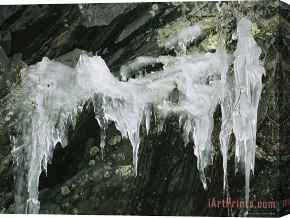 Raymond Gehman Ice From Water Seeping Through Cracks in Rock Humpback Rocks Stretched Canvas Painting / Canvas Art