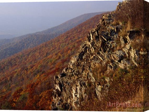 Raymond Gehman Jagged Rock Outcrop on a Mountainside Stretched Canvas Print / Canvas Art