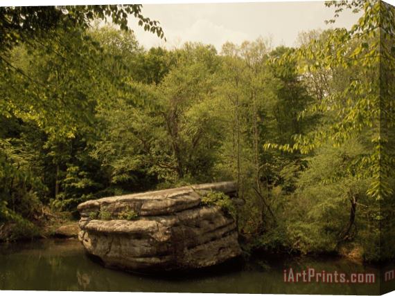 Raymond Gehman Large Boulder Over Hanging a Forest Waterway Stretched Canvas Print / Canvas Art