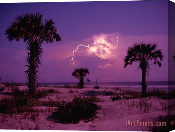 Raymond Gehman Lightning Illuminates The Purple Sky Over Cumberland Island National Seashore Stretched Canvas Print / Canvas Art