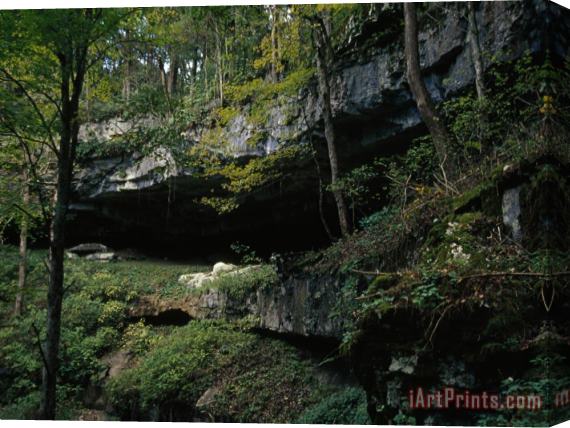 Raymond Gehman Limestone Walls And Vegetation Inside a Sinkhole Stretched Canvas Painting / Canvas Art