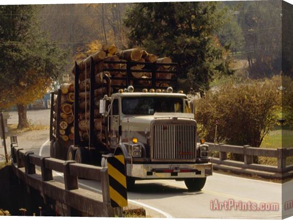 Raymond Gehman Logs Are Hauled Out of Jefferson National Forest Stretched Canvas Print / Canvas Art