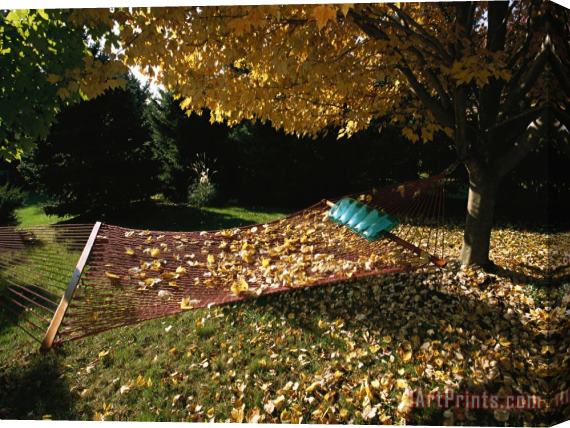 Raymond Gehman Maple Tree And Hammock in The Fall Stretched Canvas Print / Canvas Art