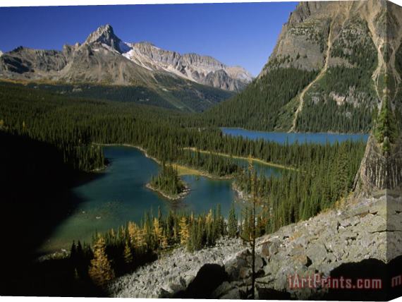 Raymond Gehman Mary Lake And Lake O Hara Sprawl at The Foot of Wiwaxy Peaks in Yoho National Park Stretched Canvas Print / Canvas Art